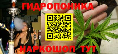 стафф Будённовск