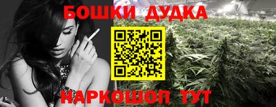 стафф Будённовск